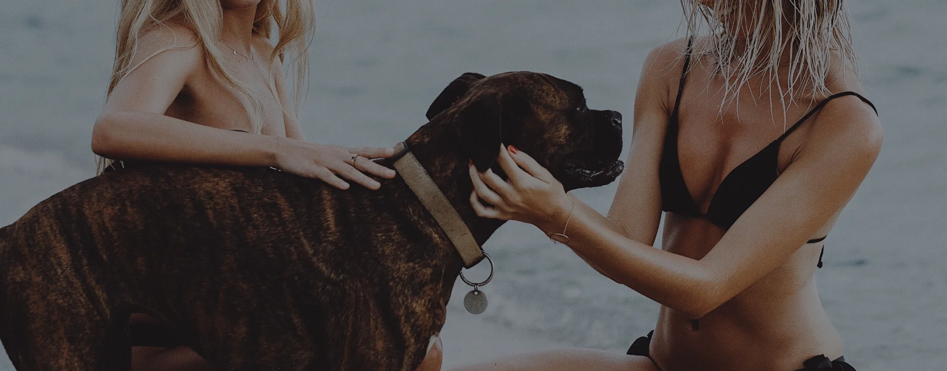 video player cover optimized